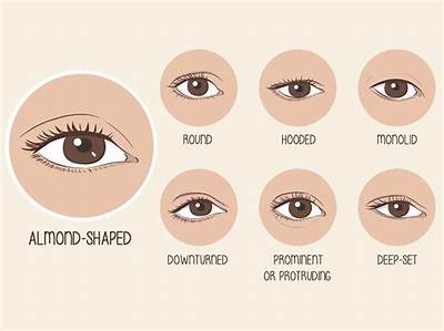 Blake Lively's Mesmerizing Almond-Shaped Eyes: a Guide to Her Eye Shape