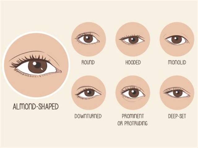 Blake Lively's Mesmerizing Almond-Shaped Eyes: a Guide to Her Eye Shape